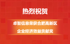 热烈：!爱游戏·ayx体育(china)官方网站信息荣获合肥高新区企业经济效益贡献奖